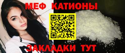 индика Ставрополь