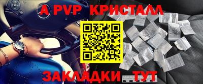 индика Ставрополь
