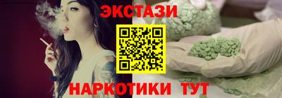 индика Ставрополь