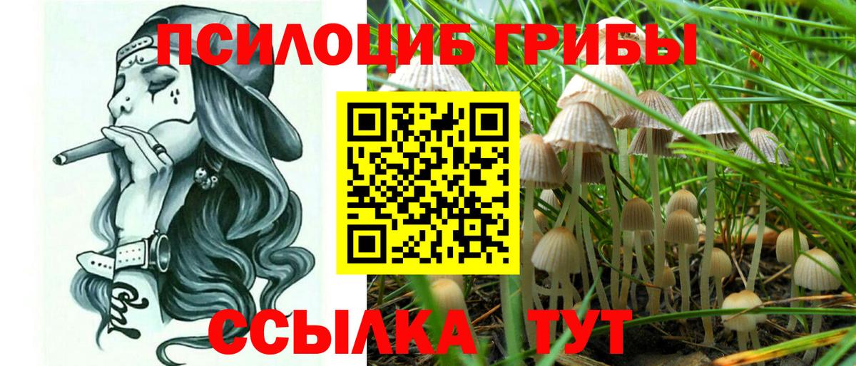 Псилоцибиновые грибы MAGIC MUSHROOMS  Вход с VPN  Белореченск  Псилоцибиновые грибы ЛСД 
